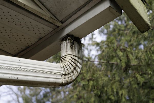 Cost of Roof Drain Replacement in Pewaukee