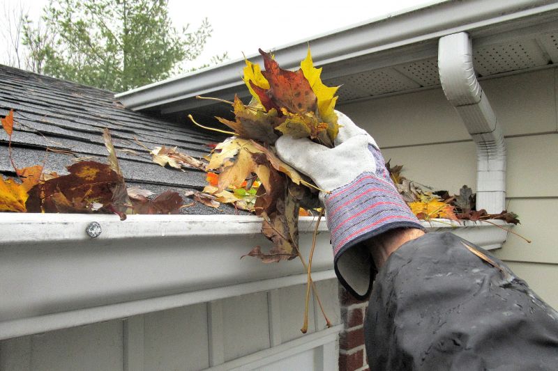 Spring Gutter Service