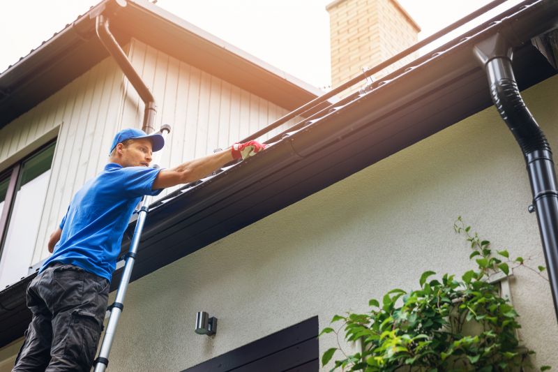 Gutter Repair Technicians